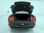 2019 Mustang Thumbnail 19