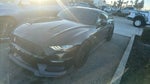 2019 Mustang Thumbnail 1