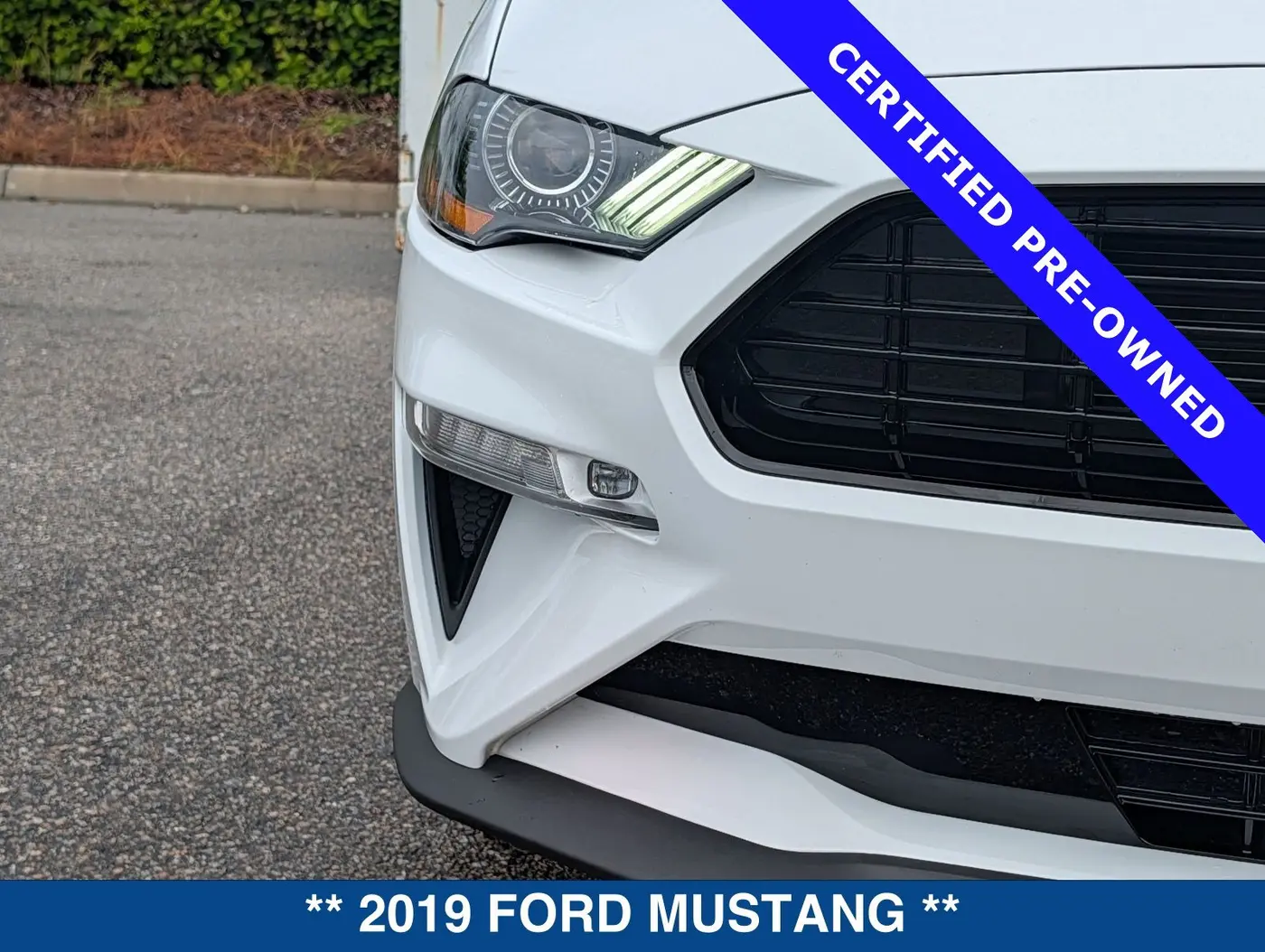 2019 Ford Mustang - $43,399