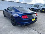 2019 Mustang Thumbnail 5