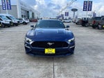 2019 Mustang Thumbnail 8