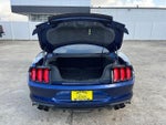 2019 Mustang Thumbnail 11