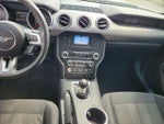 2020 Mustang Thumbnail 12