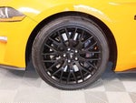 2020 Mustang Thumbnail 15