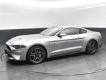 2020 Mustang Thumbnail 3
