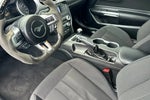 2020 Mustang Thumbnail 17
