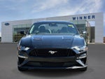 2022 Mustang Thumbnail 6