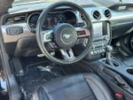 2022 Mustang Thumbnail 13