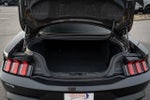 2024 Mustang Thumbnail 9