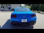 2024 Mustang Thumbnail 6