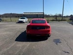 2015 Mustang Thumbnail 6