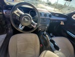 2015 Mustang Thumbnail 5
