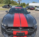 2015 Mustang Thumbnail 1