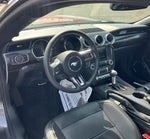 2015 Mustang Thumbnail 17