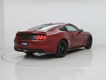 2016 Mustang Thumbnail 8