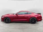 2016 Mustang Thumbnail 8