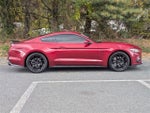 2017 Mustang Thumbnail 2