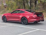 2017 Mustang Thumbnail 5