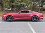 2017 Mustang Thumbnail 6