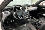 2017 Mustang Thumbnail 13