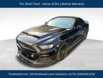 2017 Mustang Thumbnail 2