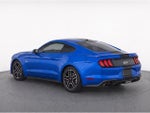2019 Mustang Thumbnail 6