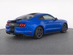 2019 Mustang Thumbnail 8
