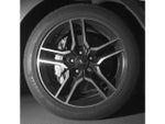 2019 Mustang Thumbnail 20