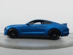 2019 Mustang Thumbnail 4