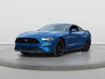 2019 Mustang Thumbnail 5