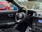 2019 Mustang Thumbnail 10