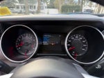 2019 Mustang Thumbnail 15