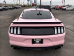2019 Mustang Thumbnail 8