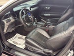 2019 Mustang Thumbnail 9