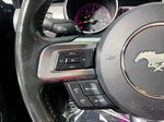2021 Mustang Thumbnail 18