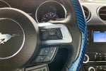 2021 Mustang Thumbnail 18