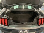 2021 Mustang Thumbnail 19