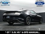 2021 Mustang Thumbnail 25