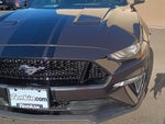 2022 Mustang Thumbnail 9