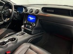 2022 Mustang Thumbnail 19