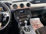 2023 Mustang Thumbnail 6