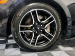 2023 Mustang Thumbnail 8
