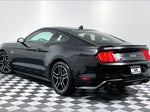2023 Mustang Thumbnail 11