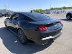 2024 Mustang Thumbnail 6