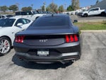 2024 Mustang Thumbnail 6