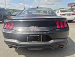 2025 Mustang Thumbnail 4