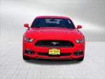 2015 Mustang Thumbnail 2