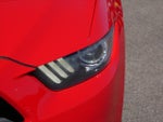 2015 Mustang Thumbnail 16