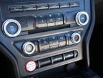 2015 Mustang Thumbnail 22