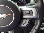 2015 Mustang Thumbnail 19